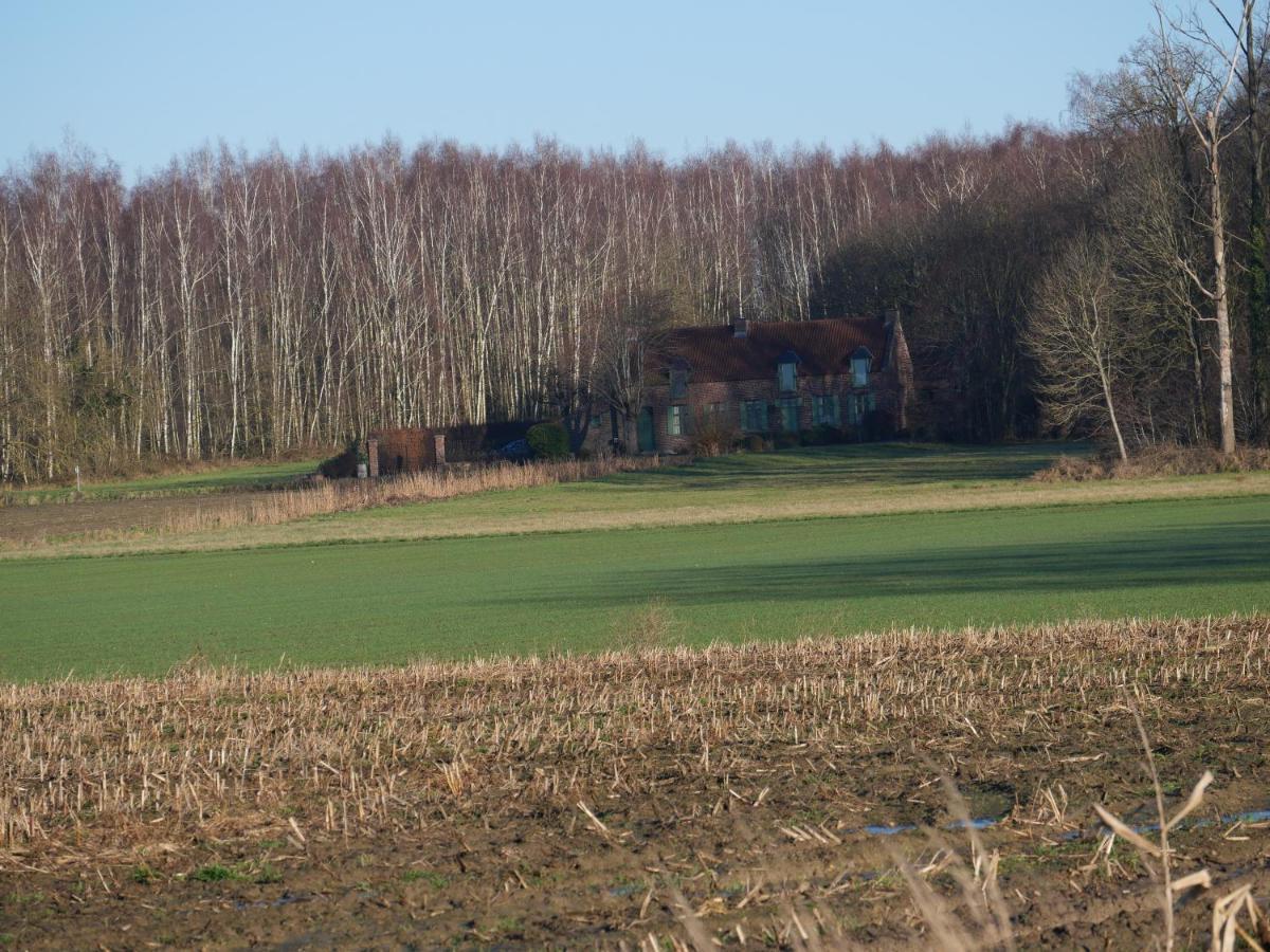 La Cabane Du Chasseur Flines-Les-Mortagne Екстериор снимка